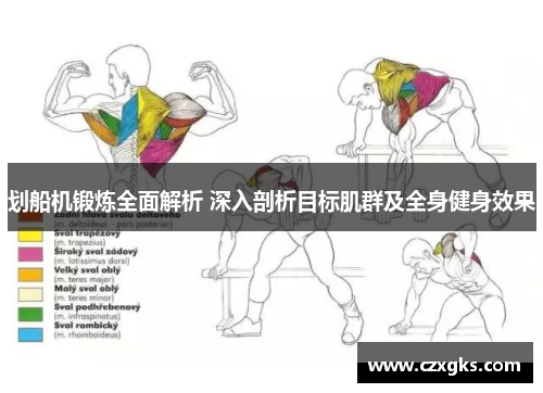 划船机锻炼全面解析 深入剖析目标肌群及全身健身效果