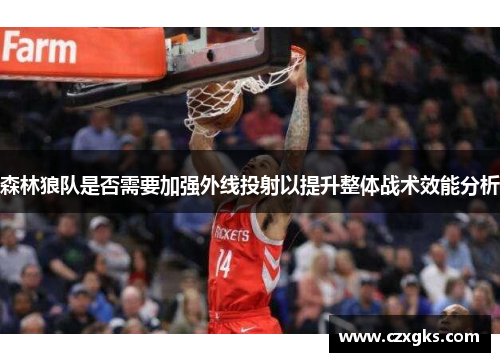 森林狼队是否需要加强外线投射以提升整体战术效能分析