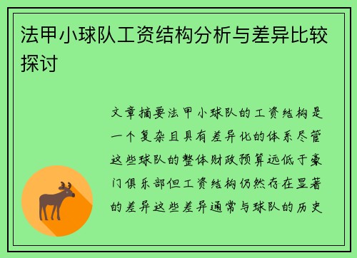 法甲小球队工资结构分析与差异比较探讨